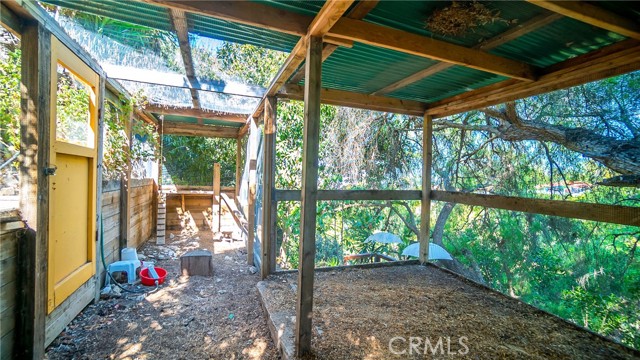 Chicken Coop Inside