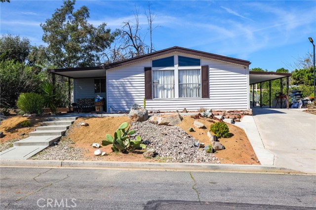 Front Image Thumbnail for CROC26054338