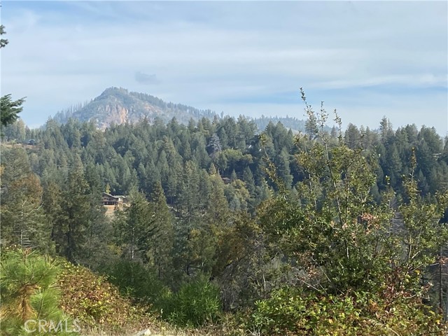 Front Image Thumbnail for CRSN25246625