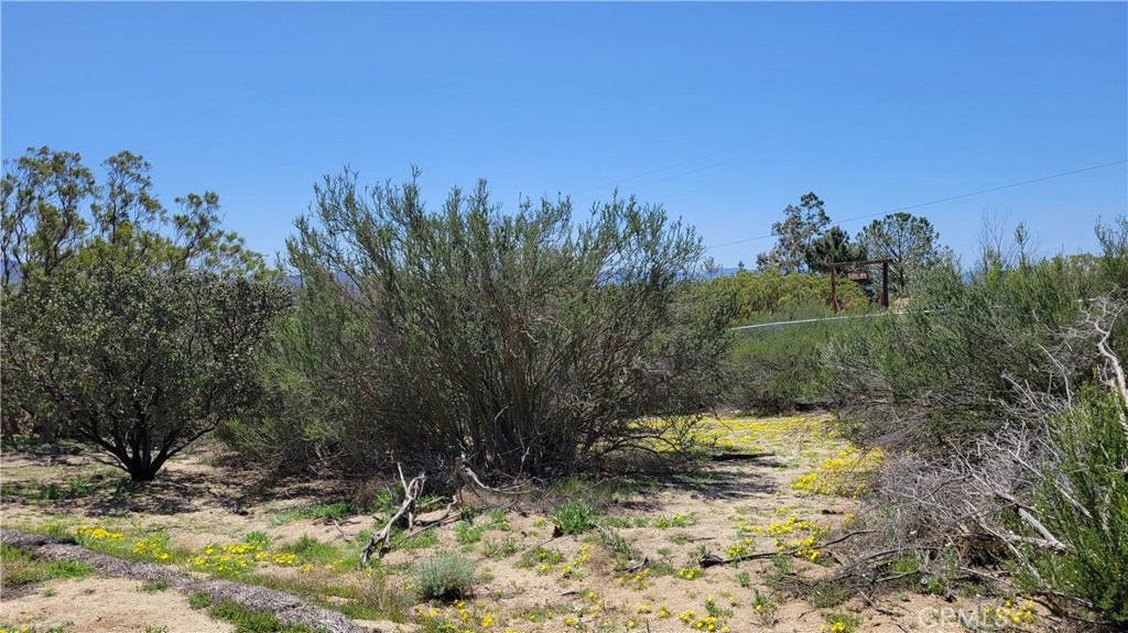 53409 Pony Trail