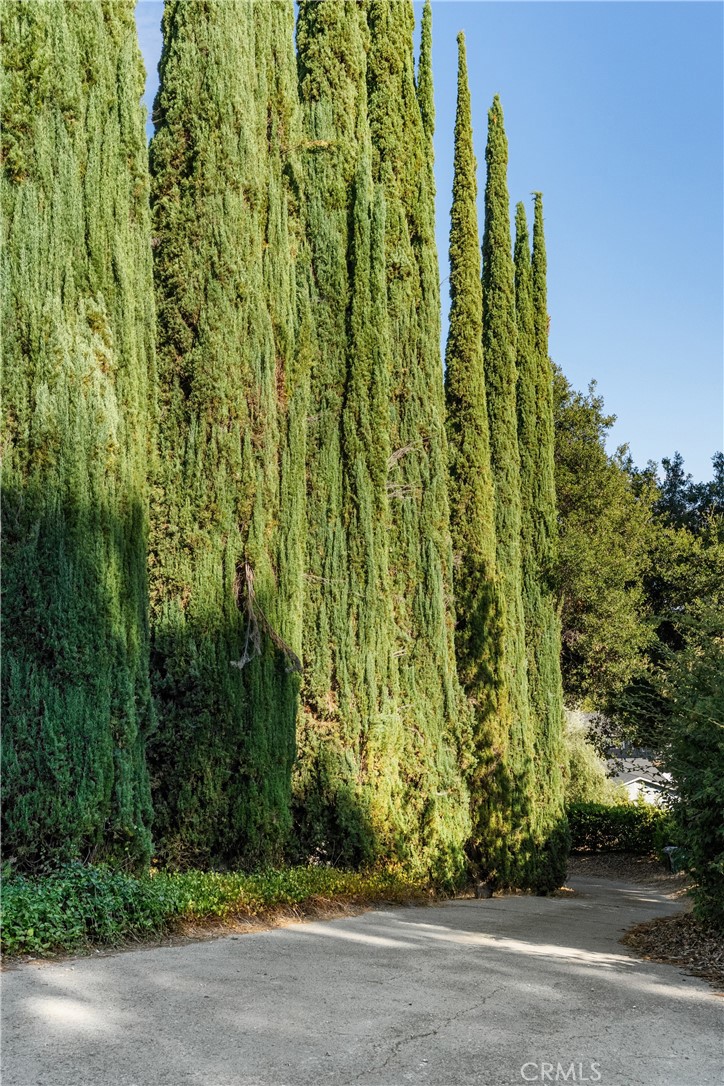 https://media.crmls.org/medias/24d0453a-3d86-47da-b016-3f76ad8870b8.jpg?preset=X-Large