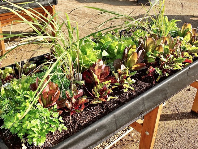 Detail Gallery Image 51 of 53 For 1560 Homewood Rd #114-L,  Seal Beach,  CA 90740 - 2 Beds | 2 Baths