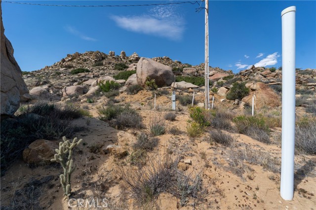 62582 Bear Track Court, Anza CA: https://media.crmls.org/medias/24dae923-c383-4895-88bd-61a4535a4245.jpg