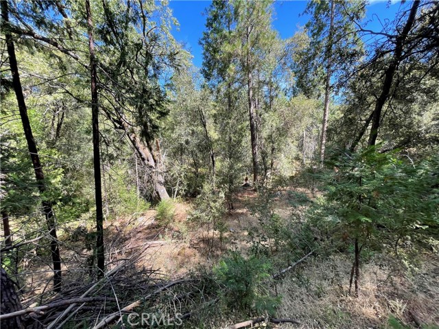 Detail Gallery Image 13 of 19 For 5693 Creel Rd, Mariposa,  CA 95338 - – Beds | – Baths
