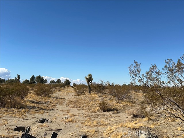 14778 Johnson Road, Phelan, California 92371, ,Land,For Sale,14778 Johnson Road,CRSW24218722