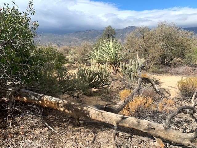 Detail Gallery Image 9 of 15 For 368 Palm Canyon Dr, Mountain Center,  CA 92561 - – Beds | – Baths