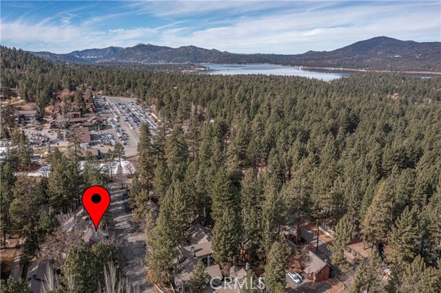 Detail Gallery Image 43 of 44 For 41935 Switzerland Dr #110,  Big Bear Lake,  CA 92315 - 3 Beds | 2/1 Baths