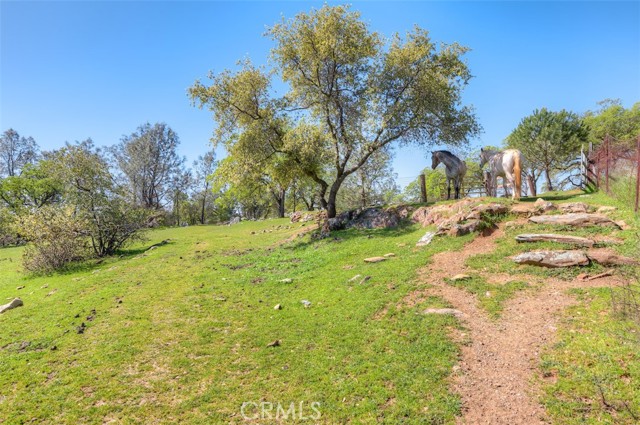 Detail Gallery Image 39 of 55 For 135 Riverview Dr, Oroville,  CA 95966 - 3 Beds | 2 Baths