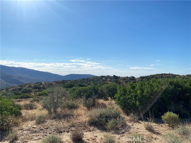 Detail Gallery Image 13 of 28 For 63151 Table Mountain Truck, Anza,  CA 92561 - – Beds | – Baths