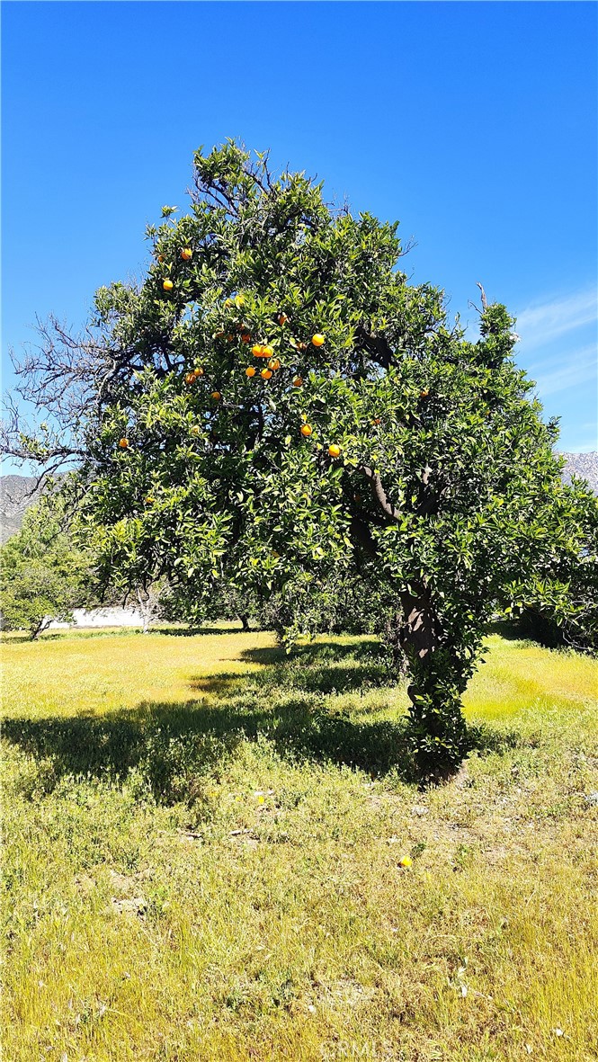 https://media.crmls.org/medias/24fa1cc1-c805-4d04-83d6-3ebb0e98c6fc.jpg?preset=X-Large