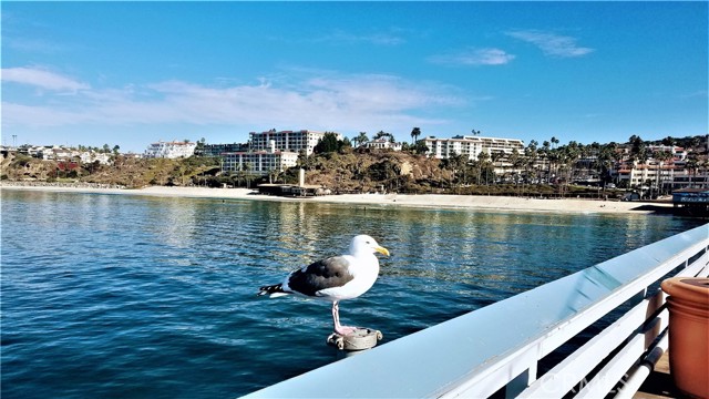 40 Paseo Alba, San Clemente CA: https://media.crmls.org/medias/24fa259d-810e-44fc-9c47-11370c0fbc28.jpg