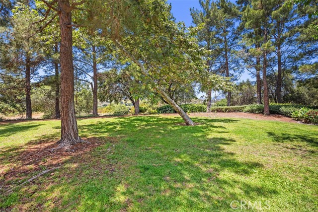 Detail Gallery Image 24 of 26 For 41 Timbre, Rancho Santa Margarita,  CA 92688 - 2 Beds | 2 Baths
