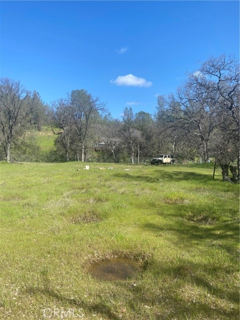 16587 Stagecoach Road, Corning, California 96021, ,Land,For Sale,16587 Stagecoach Road,CRFR23051146