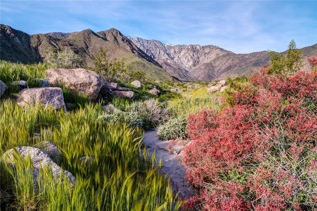 Detail Gallery Image 2 of 7 For 2639 City View Dr, Palm Springs,  CA 92262 - – Beds | – Baths