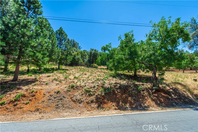 Detail Gallery Image 45 of 75 For 3126 Edgewood Drive, Kelseyville,  CA 95451 - – Beds | – Baths
