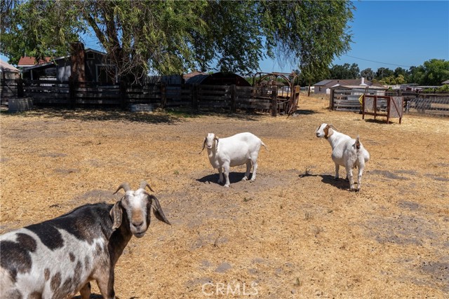 3360 Chico Road, Atascadero CA: https://media.crmls.org/medias/250213ea-1cac-4baf-b499-ab86dffca027.jpg