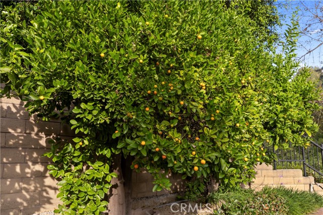 Detail Gallery Image 42 of 50 For 1000 Heaton Moor, Walnut,  CA 91789 - 4 Beds | 3 Baths