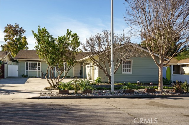 Front Image Thumbnail for CROC26054393