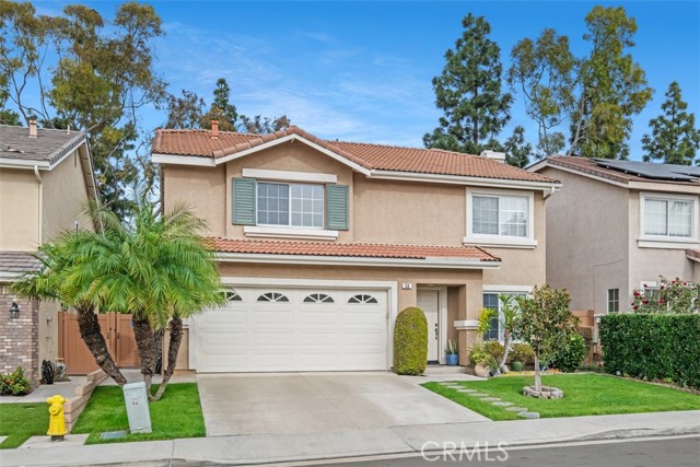 Front Image Thumbnail for CROC26032901