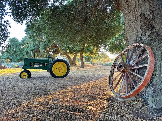 Detail Gallery Image 8 of 69 For 29820 Old Mitchell Camp Rd, Warner Springs,  CA 92086 - – Beds | – Baths