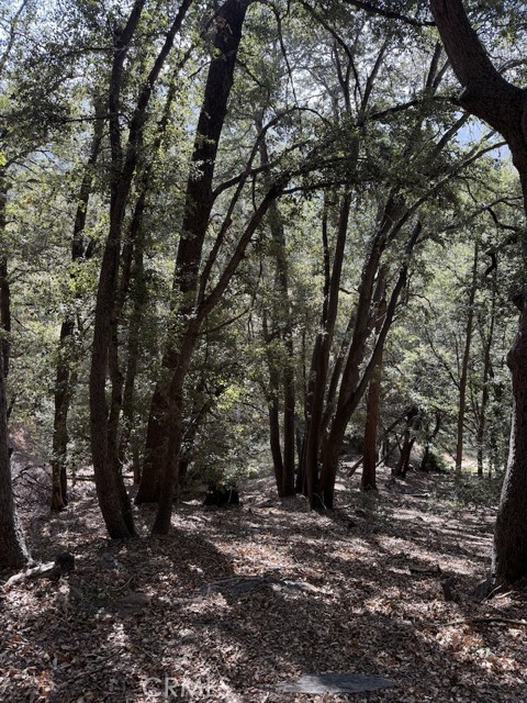 Detail Gallery Image 1 of 6 For 0 343-061-27-000, Cedarpines Park,  CA 92322 - – Beds | – Baths