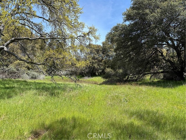 Detail Gallery Image 2 of 7 For 0 Hwy 49n, Mariposa,  CA 95338 - – Beds | – Baths