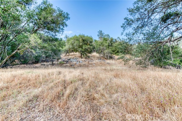 Detail Gallery Image 51 of 72 For 43867 Trabuco Ct, Coarsegold,  CA 93614 - 4 Beds | 4 Baths