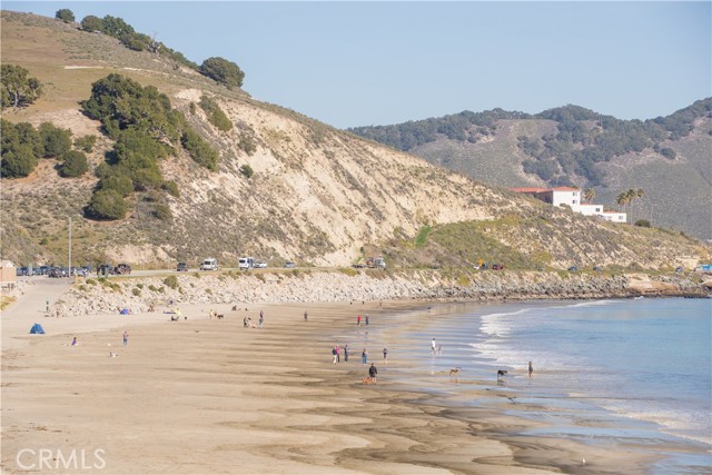 Local dog beach.