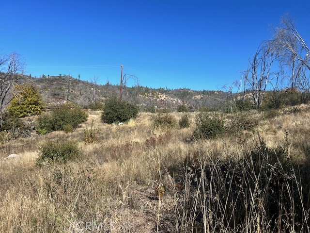 Front Image Thumbnail for CROR25251686