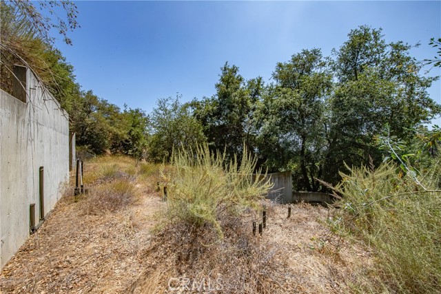 3577 Shaw Ranch Road, Pasadena CA: https://media.crmls.org/medias/25188f0c-c34d-4131-95cf-ae4cf49a1879.jpg