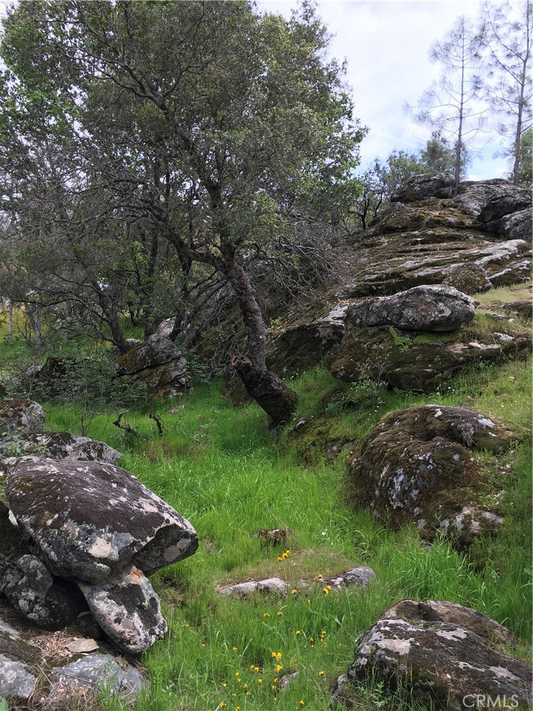 0 Stetson Drive, Coarsegold, CA 93614