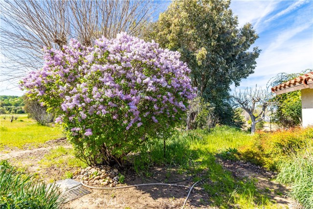 Detail Gallery Image 31 of 50 For 5335 Monterey, Paso Robles,  CA 93446 - 3 Beds | 3 Baths