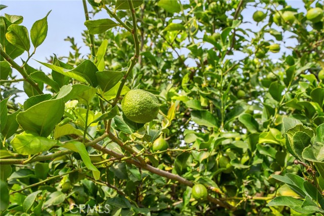 Detail Gallery Image 22 of 31 For 35167 San Carlos St, Yucaipa,  CA 92399 - 3 Beds | 2 Baths