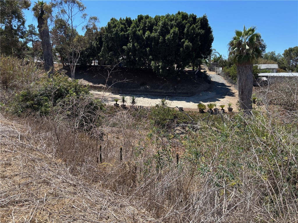 1937 Sunset Drive - photo 4