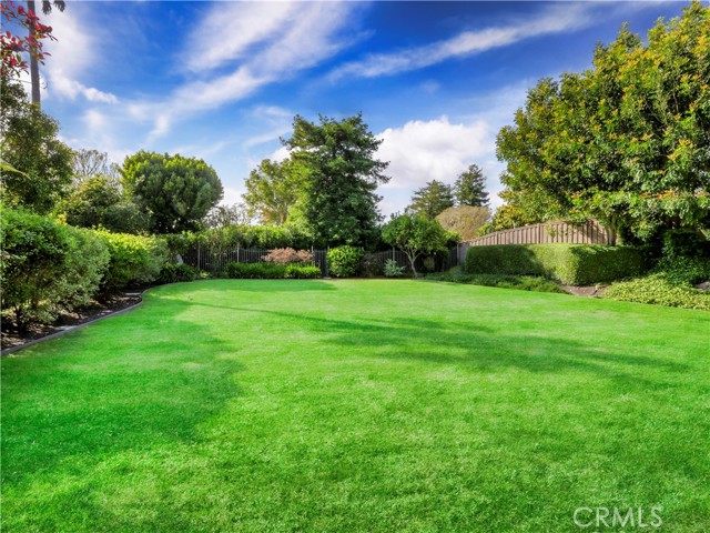 Check out this greenspace in the backyard!