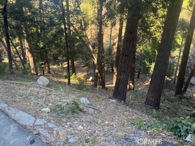 Detail Gallery Image 4 of 7 For 0 Valle, Crestline,  CA 92325 - – Beds | – Baths