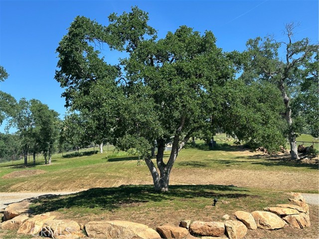 Image 46 of 57 For 5427 Shooting Star Road