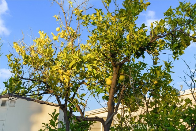 Detail Gallery Image 25 of 37 For 24001 Muirlands #47,  Lake Forest,  CA 92630 - 2 Beds | 2 Baths