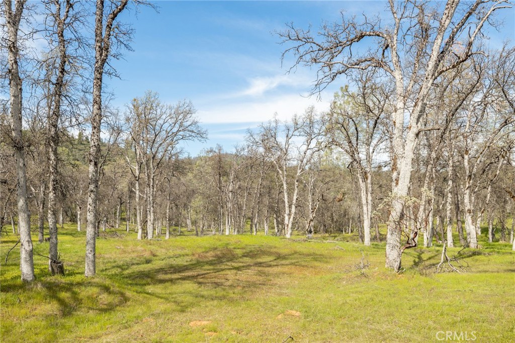 MLS #MP25083709 image #9