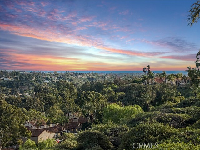 30282 Sonrisa, Laguna Niguel CA: https://media.crmls.org/medias/254b020a-ef64-4d01-a999-f3a701d3d29c.jpg