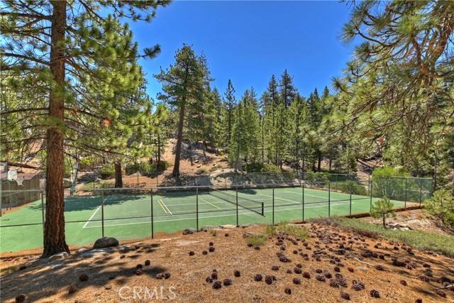 Detail Gallery Image 44 of 50 For 38595 Talbot Dr, Big Bear Lake,  CA 92315 - 3 Beds | 2/1 Baths