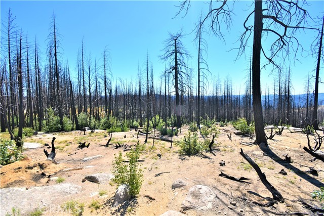 0 Bald Rock Road, Berry Creek, California 95916, ,Land,For Sale,0 Bald Rock Road,CROR22196331