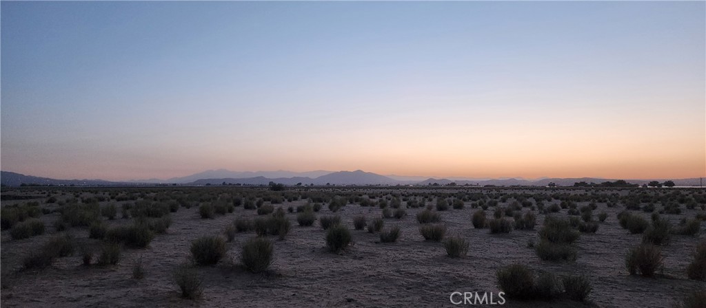 MLS #JT25139069 image #2