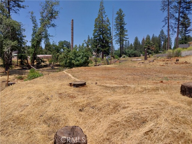 1667 Wagstaff Road, Paradise CA: https://media.crmls.org/medias/255fdaf7-9ac6-4b85-b1c5-8db6a44d1daf.jpg