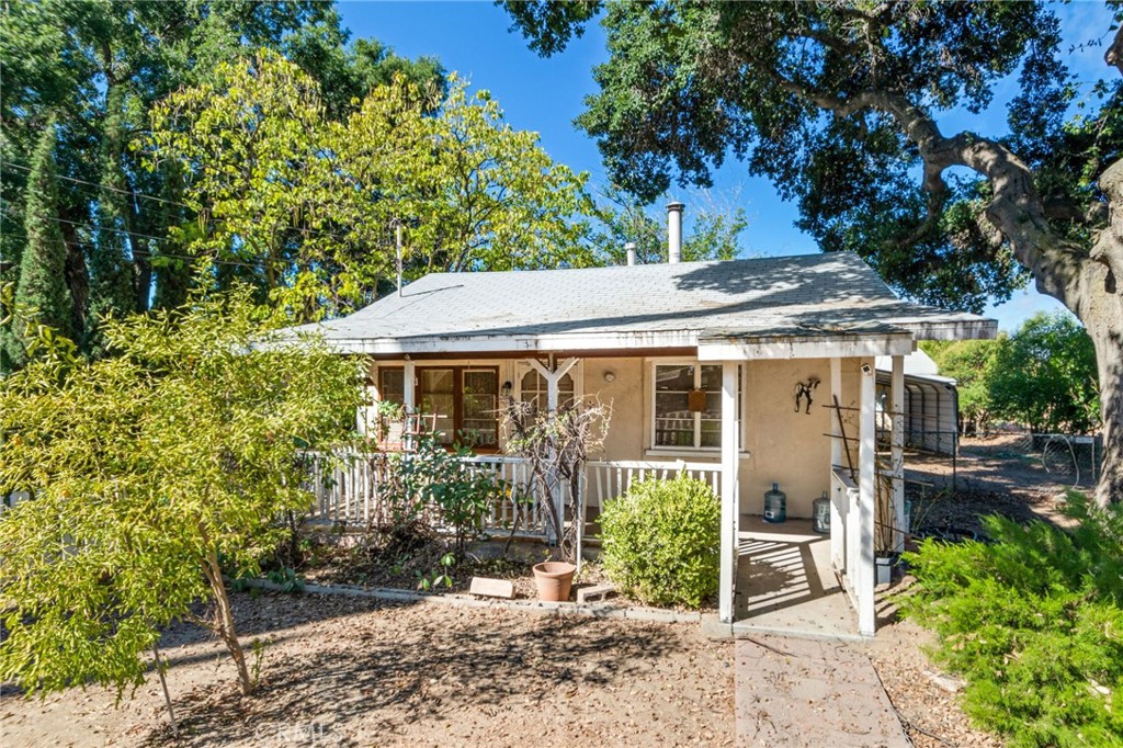 10325 Live Oak