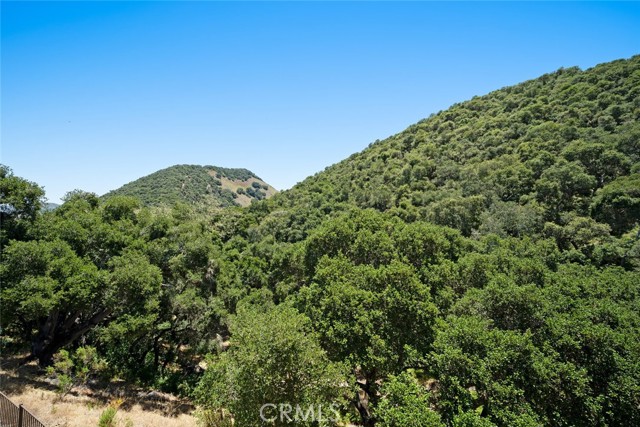 6520 Western Gull Drive, Avila Beach CA: https://media.crmls.org/medias/257a7ce1-d998-432c-bca0-a20855170183.jpg