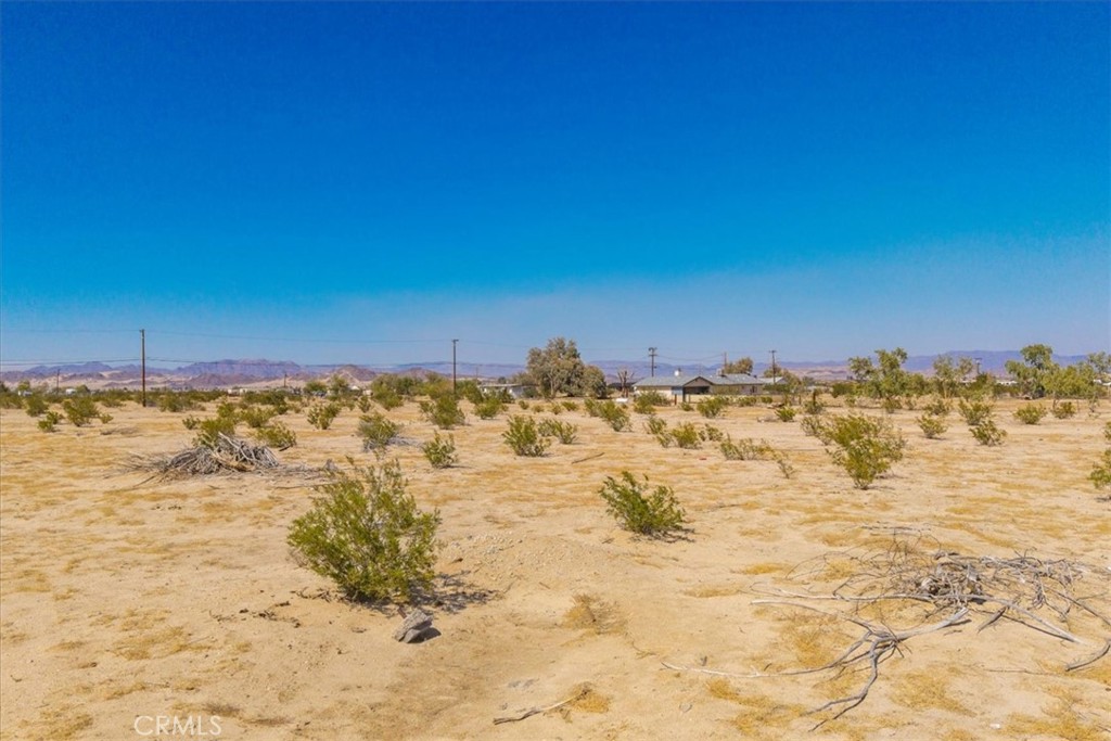 MLS #JT25177017 img 19