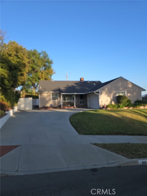 806 Stanford