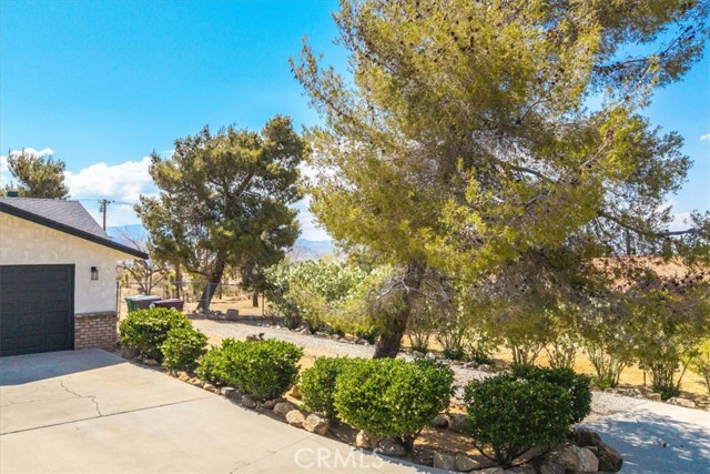9124 Joshua Lane, Yucca Valley CA: https://media.crmls.org/medias/258a186c-489e-446f-b768-0208fe952840.jpg