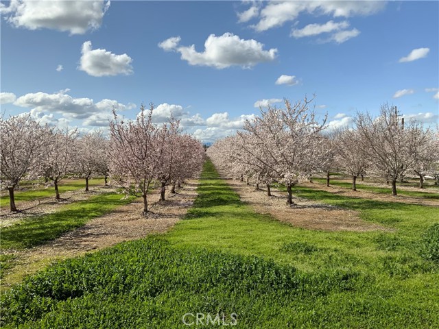 Detail Gallery Image 2 of 25 For 24895 New Jersey Ave, Corning,  CA 96021 - 3 Beds | 2 Baths